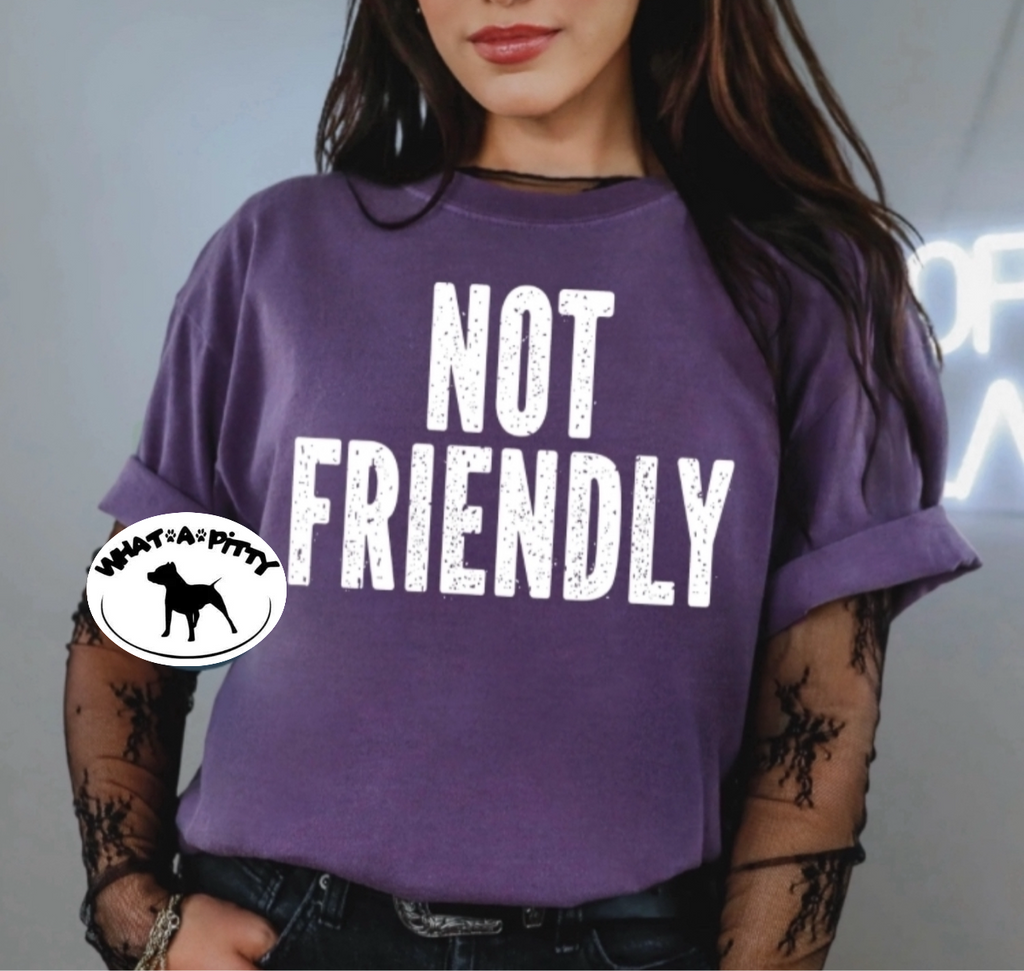 Not Friendly tee product image 2