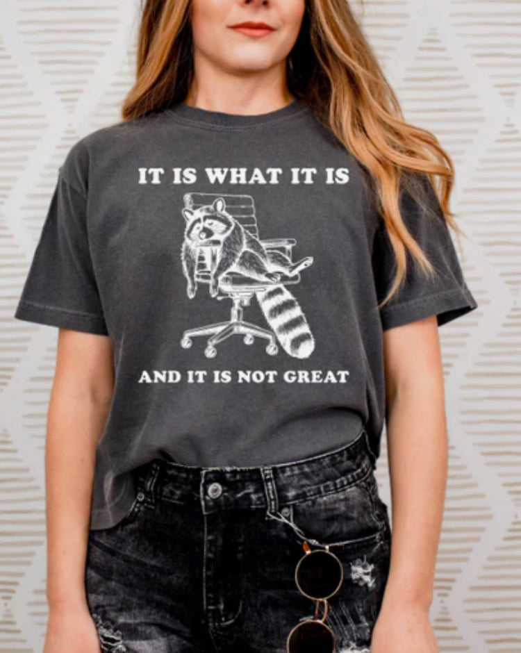 It is what it is tee product image 1