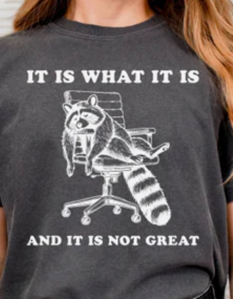 It is what it is tee product image 2